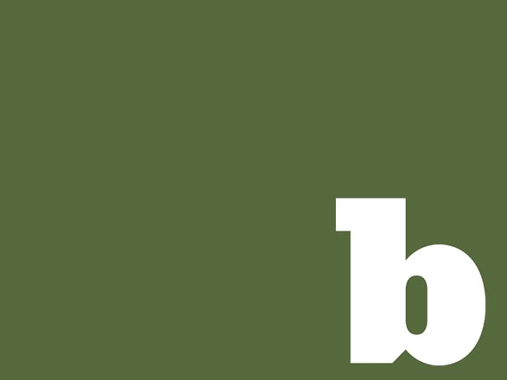Bonanza